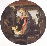 Sandro Botticelli Madonna in Adoration of the Christ Child oil